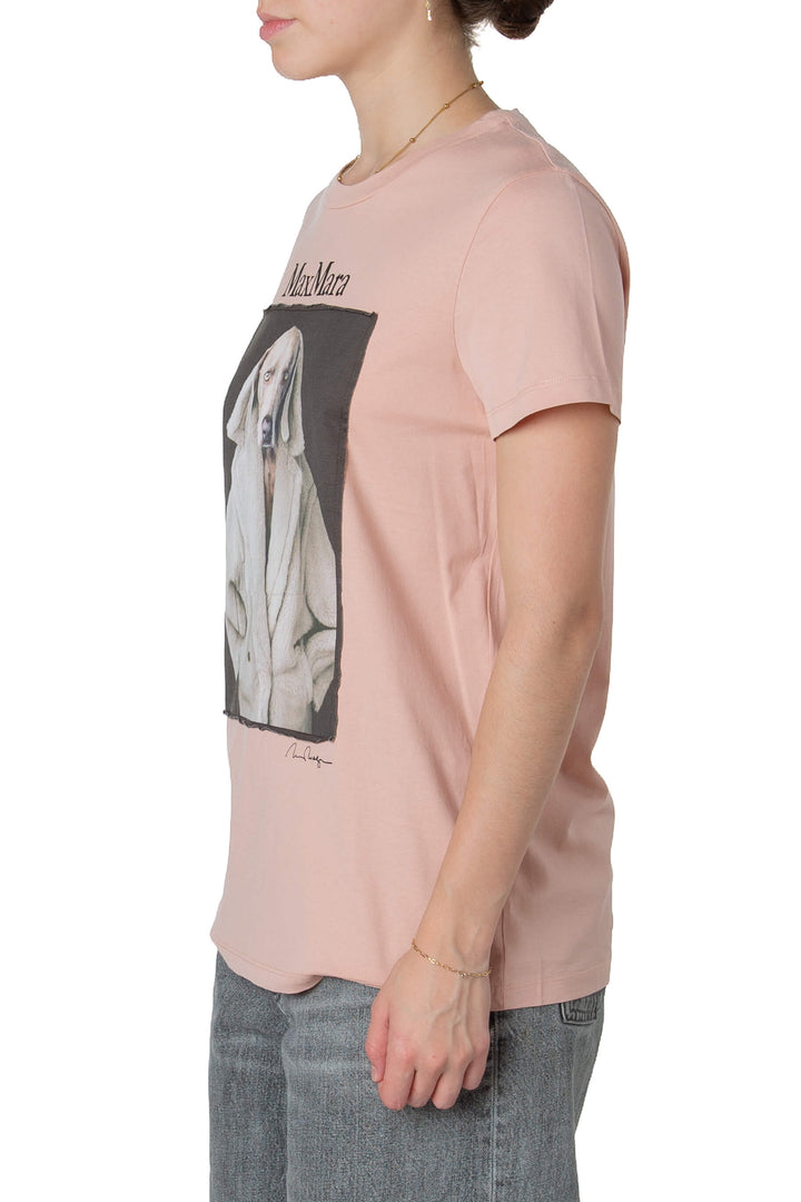 Max Mara, Talla M