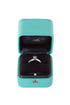 Tiffany & Co