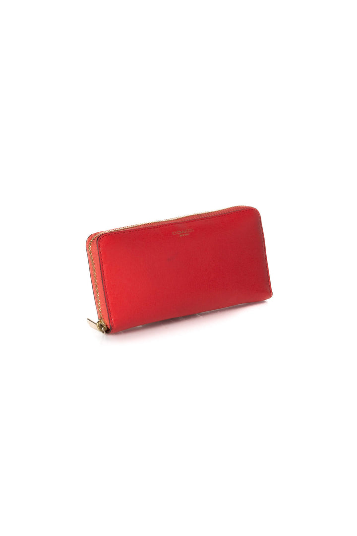 Cartera Coach, vista posterior – ClosetRehab