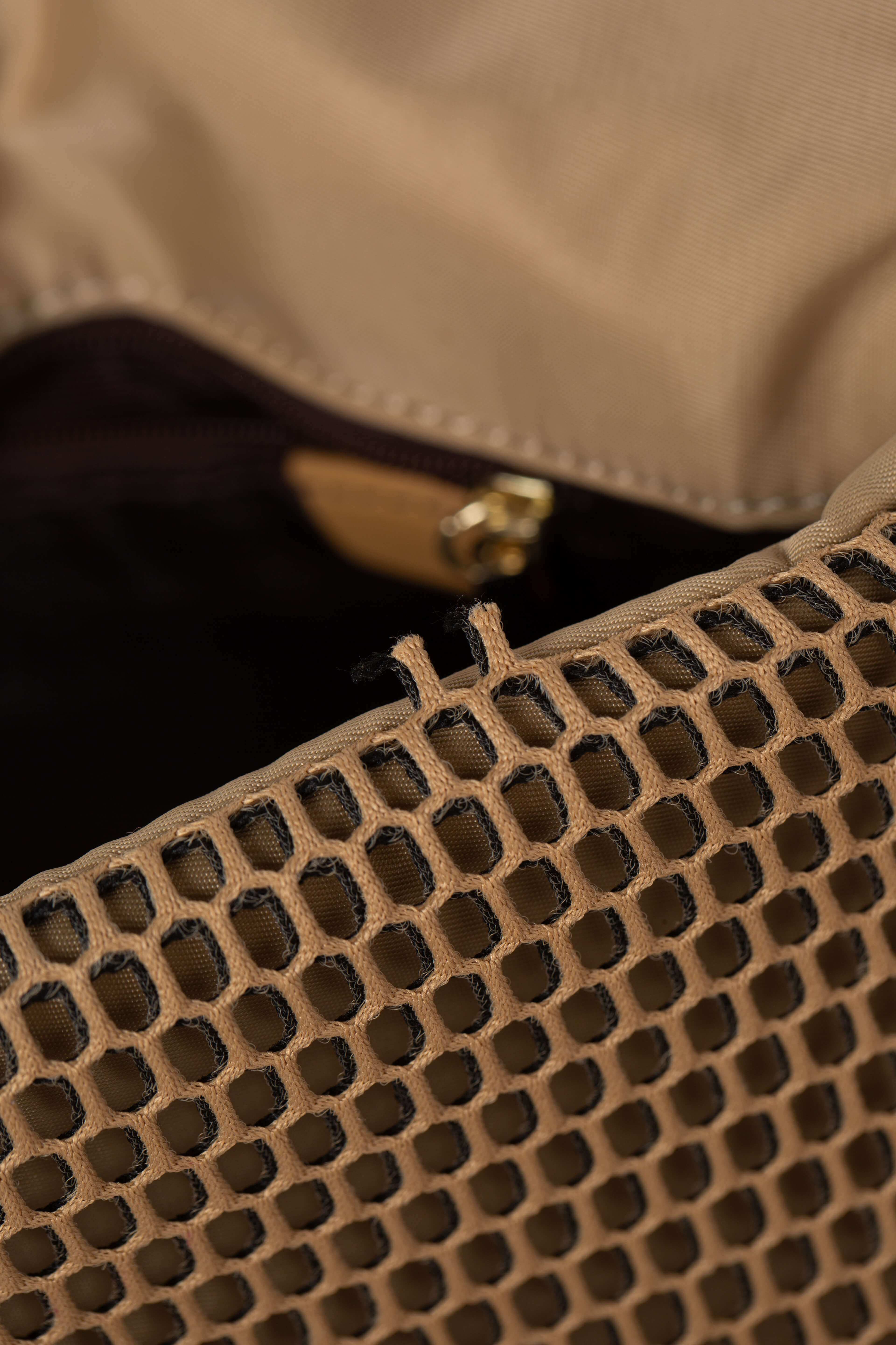 Purificación García