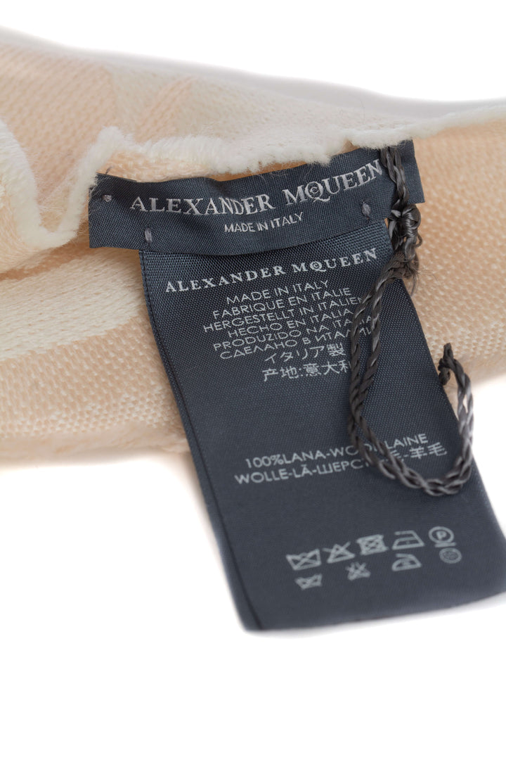 Bufanda Alexander McQueen, detalle – ClosetRehab