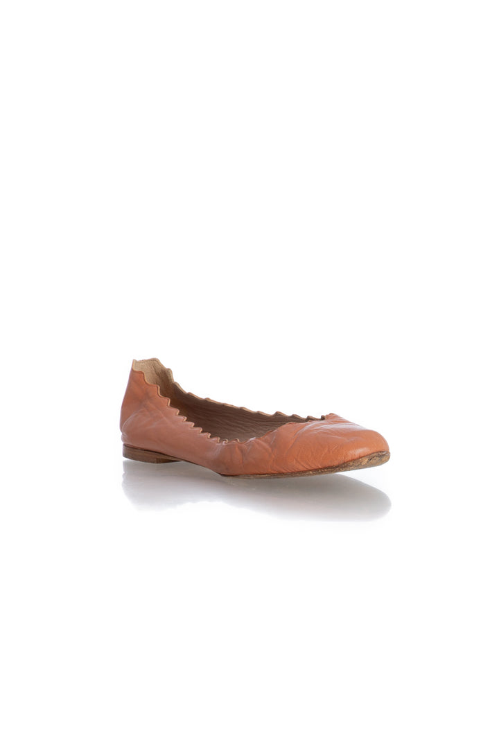 Zapato Chloe café, vista posterior – ClosetRehab