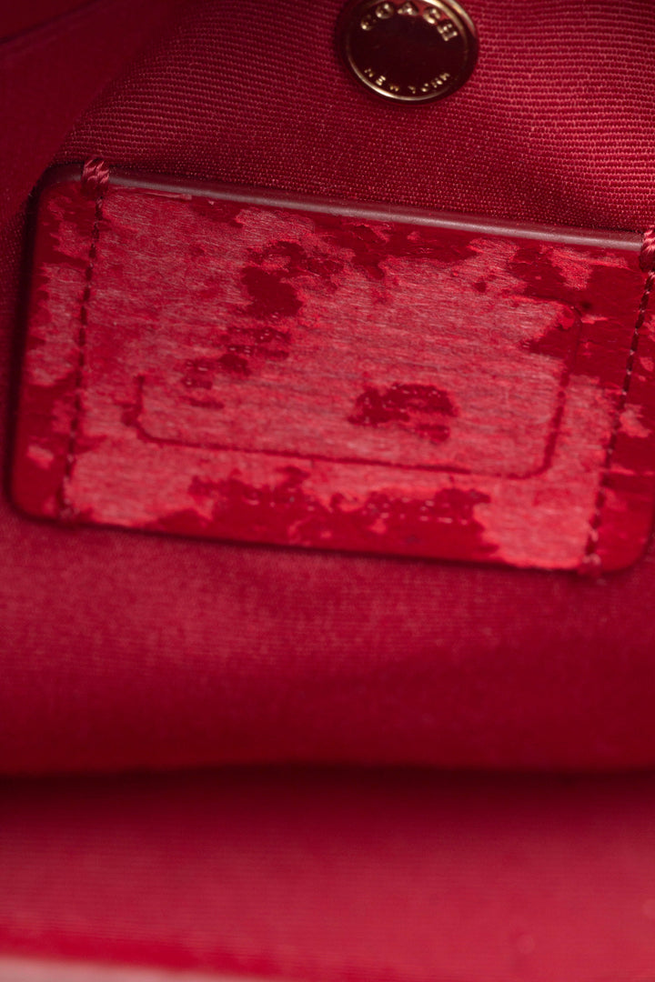 Bolsa Coach*, detalle 16 – ClosetRehab