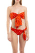 Johanna Ortiz, Talla M