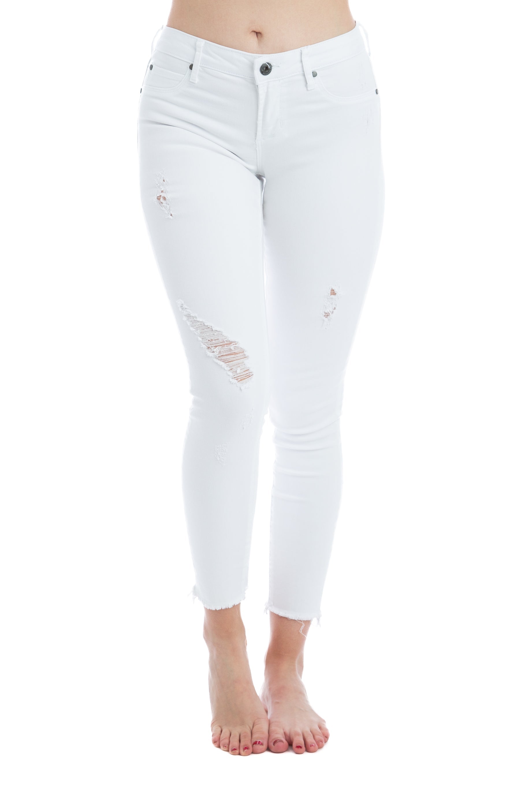 Articles of Society LA, Talla 26