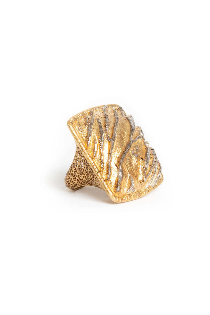 Anillo, vista frontal – ClosetRehab